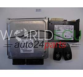 Centralina motore MERCEDES BENZ A6519003603 A6519013302