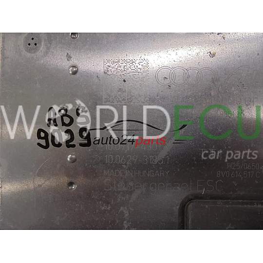 ABS PUMPE BLOCK HYDRAULIKPUMPE STEUERGERÄT AUDI 8V0614517F 10.0917-4301.3 10091743013